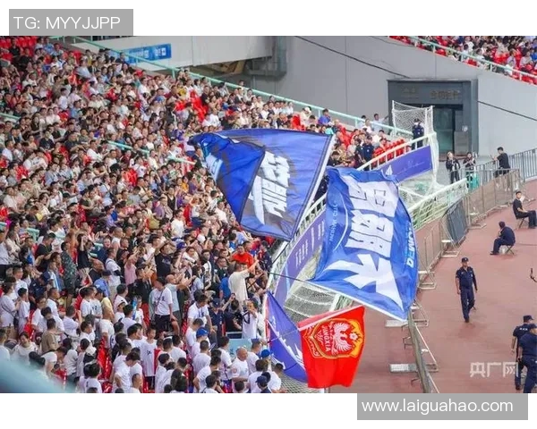 镇坪县足球比赛直播现场热情高涨球迷齐聚共庆足球盛宴