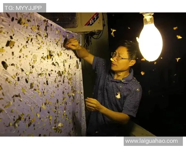 张宁的奋斗历程与成就探索：从普通学子到行业领军人物的蜕变之路