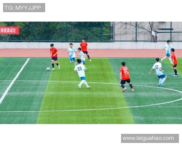 岳阳十四中足球比赛精彩直播全程回顾与精彩瞬间分享