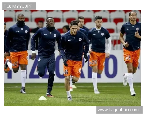 国米与里昂比赛门票价格及座位安排详解