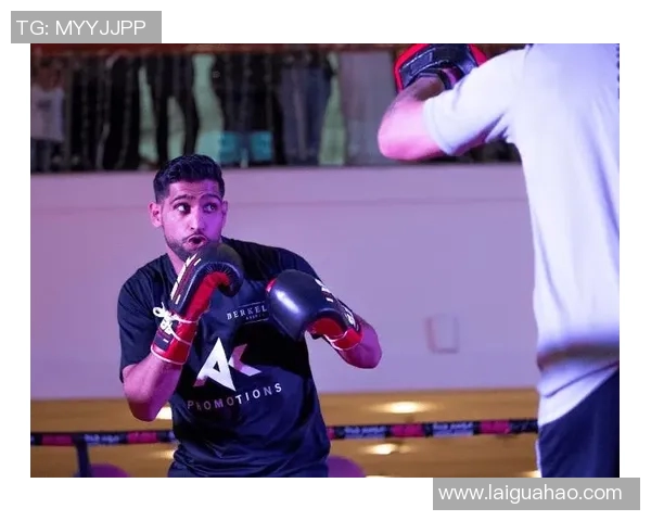 英国拳王布洛克对决波特精彩赛事回顾与赛后分析